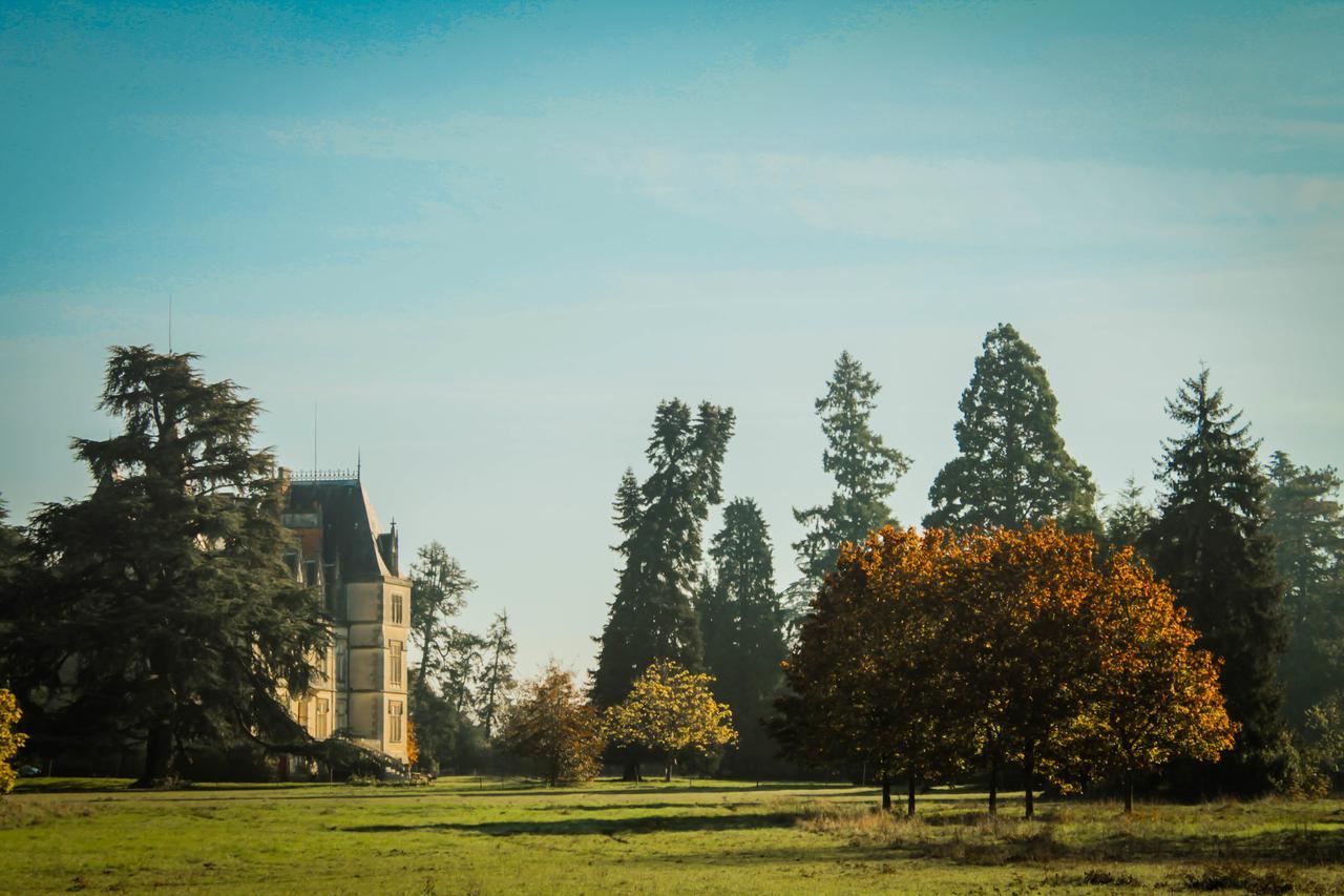 Hotel Chateau Le Boisrenault Buzançais Esterno foto