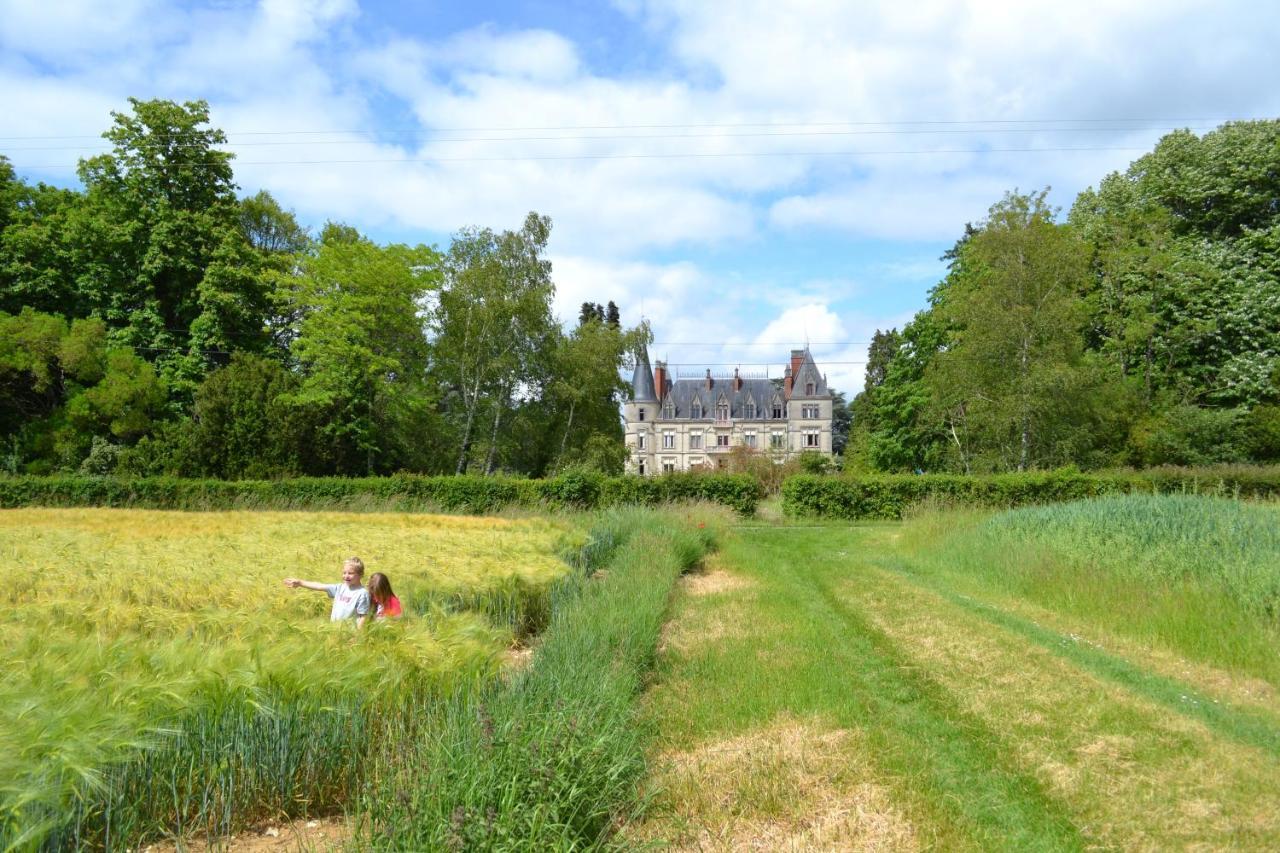 Hotel Chateau Le Boisrenault Buzançais Esterno foto